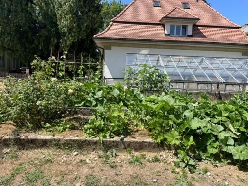 Gemeinschaftsgarten Villa Schnell